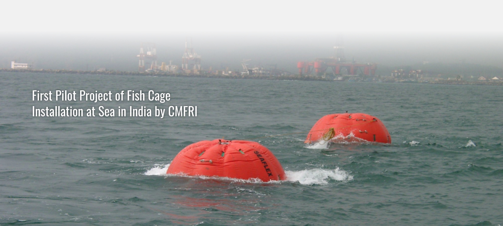 underwater videography